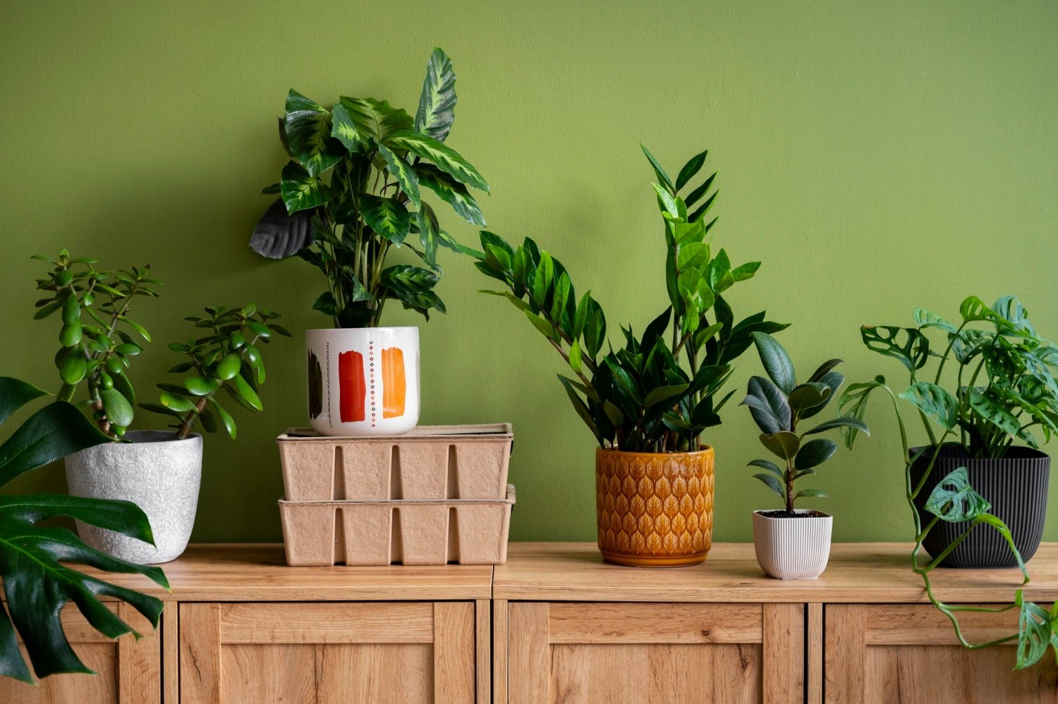Decoración de interiores con plantas: naturaleza que transforma tu hogar